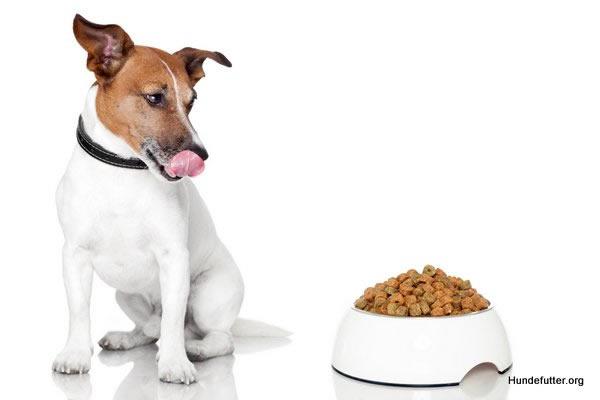 Hunde gesunde Nahrung in  Halbemond