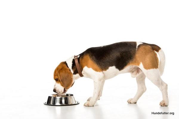 Hundefutter kaufen in  Körperich - Seimerich, Niedersgegen oder Obersgegen