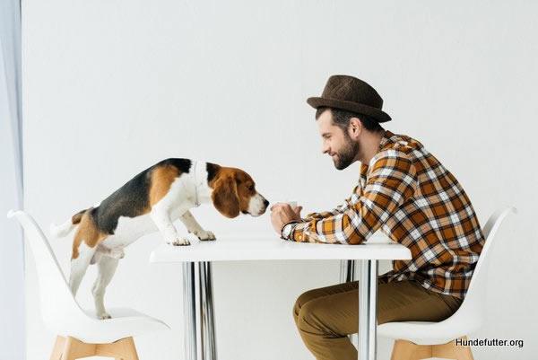 Katzenfutter / Nassfutter mit Vitamine aus Heilbronn